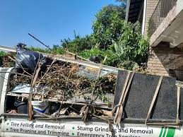 Best Dumpster Rental Services  in Roberta, GA