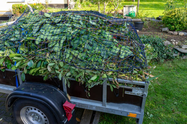 Best Moving and Downsizing Cleanouts  in Roberta, GA